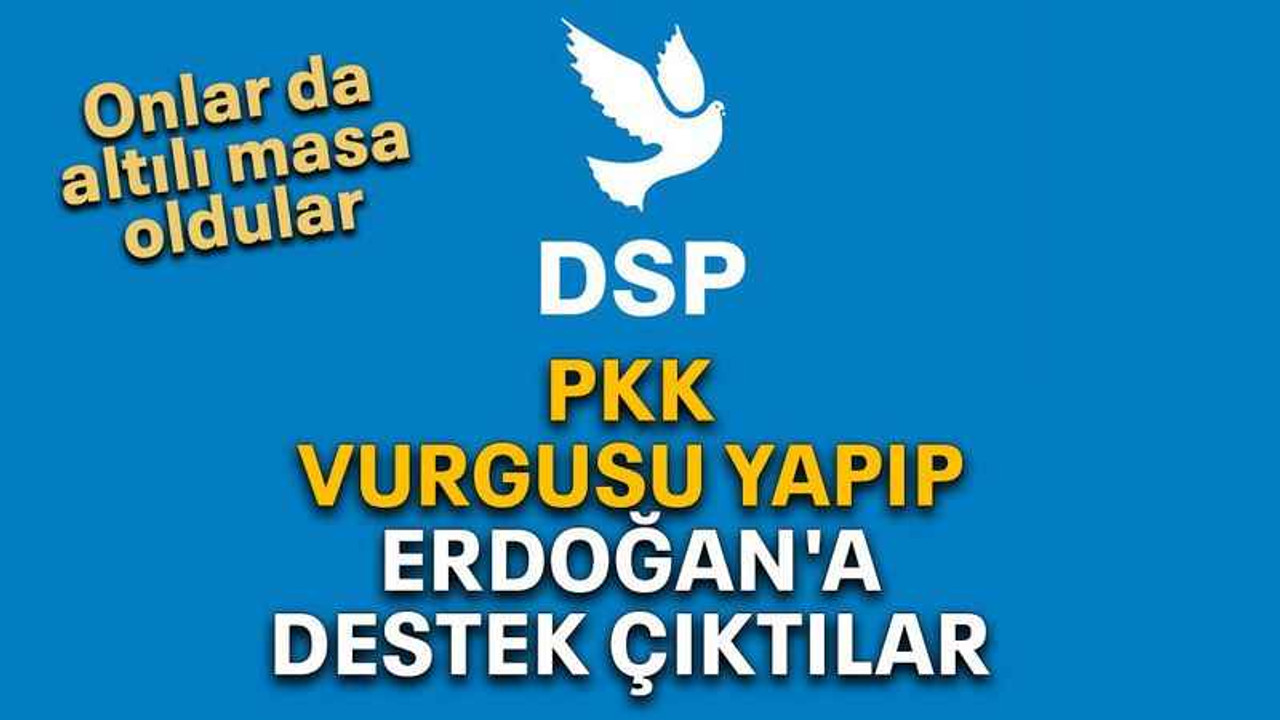 PKK vurgusu yapıp Erdoğan'a destek çıktılar